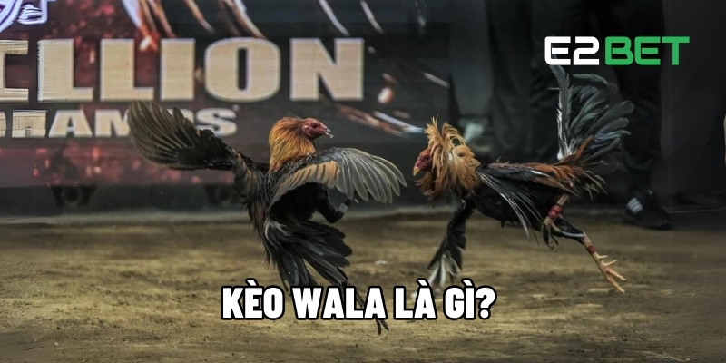 Kèo Wala Là Gì? Giới Thiệu Chiến Thuật Thắng Cùng E2BET 1 Kèo Wala là gì?